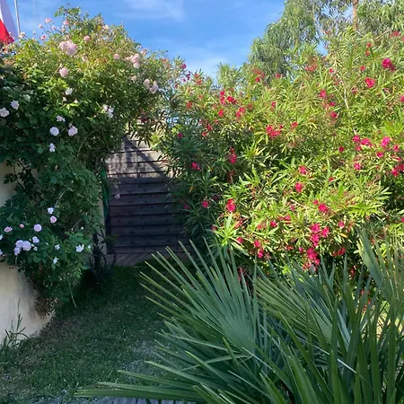 Le Bacio, Maison De Charme A 300m Des Calanques, 900 M Du Vieux Port 度假居 拉西约塔